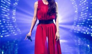 我是歌手第11期 我是歌手第11期