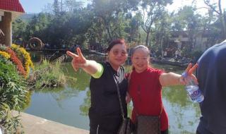 东湖菊花展2024年什么时候开始 深圳东湖公园菊花展