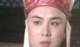 86版西游记十九集唐僧变成老虎是哪一集 西游记之我成了唐僧