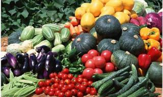 我在沈阳站去八家子水果批发市场做什么车 沈阳水果批发市场