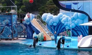 深圳小梅沙和大梅沙那个好玩些 深圳小梅沙好玩吗