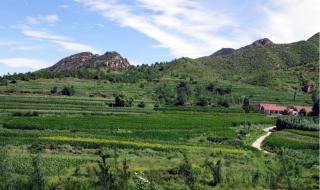 2012年夏季新番日剧有哪些 dnf2012夏日礼包