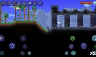 泰拉瑞亚npc都适合什么地形 泰拉瑞亚谁住在雪原